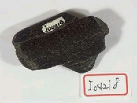 藏品(碎骨片一件)的圖片